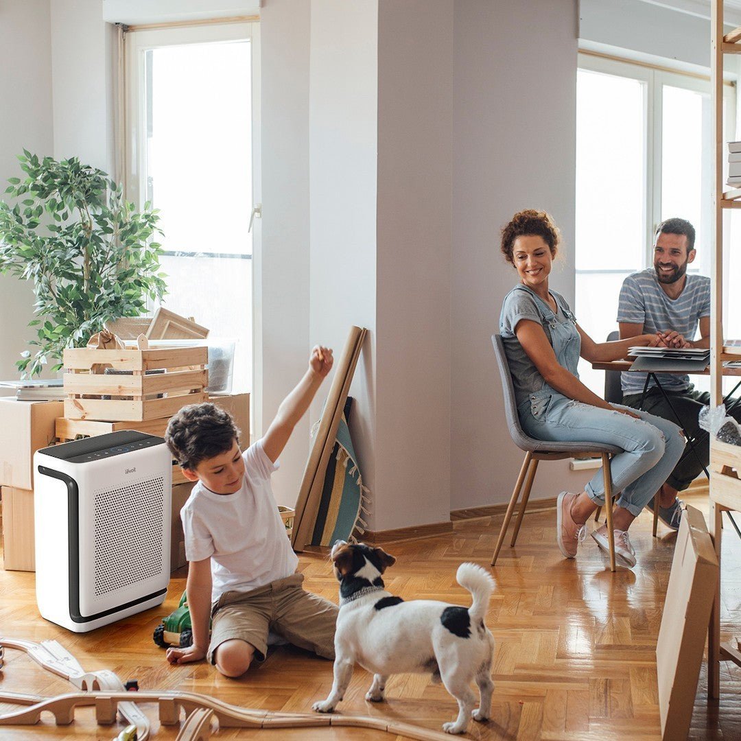 Air Purifier Ratings and Standards: What you should know - Levoit