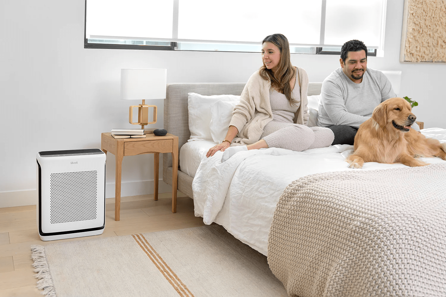 Levoit air purifier for pets deals