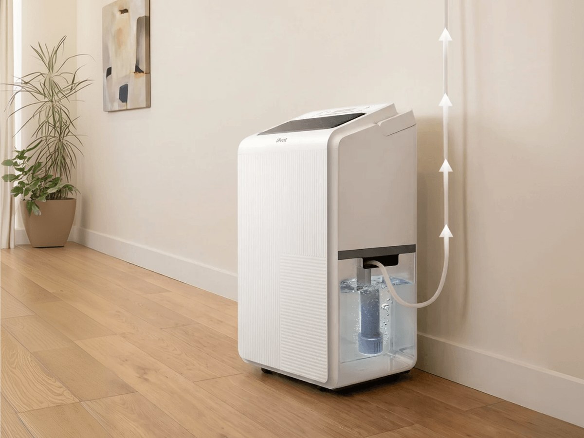 Ideal Basement Humidity: What Level Should Your Basement Be? - Levoit
