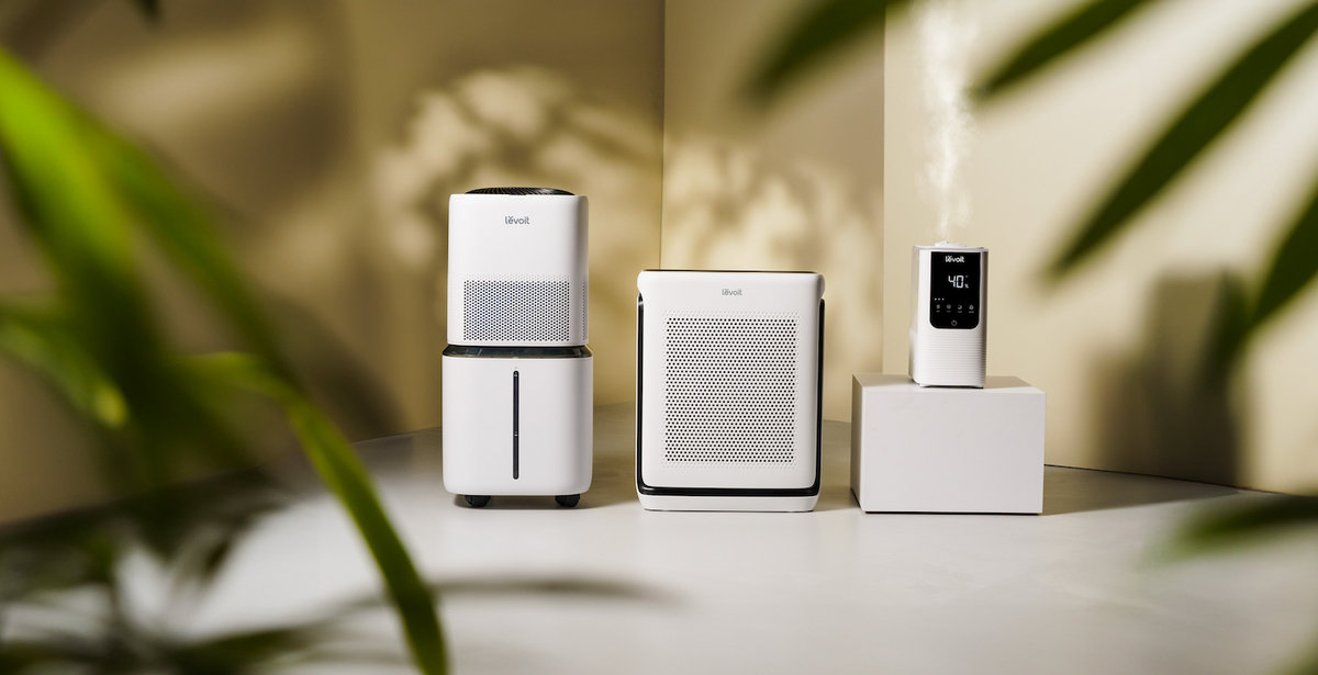Levoit humidifiers and air purifiers displayed next to one another