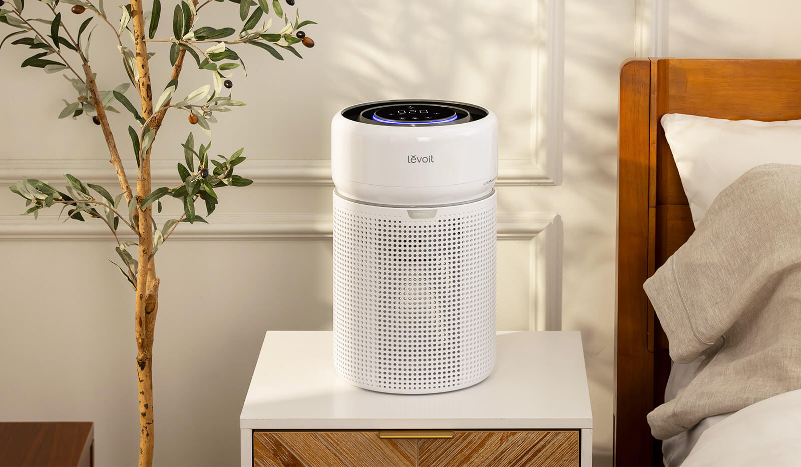The Nose Knows: What a Carbon Filter Actually Does - Levoit