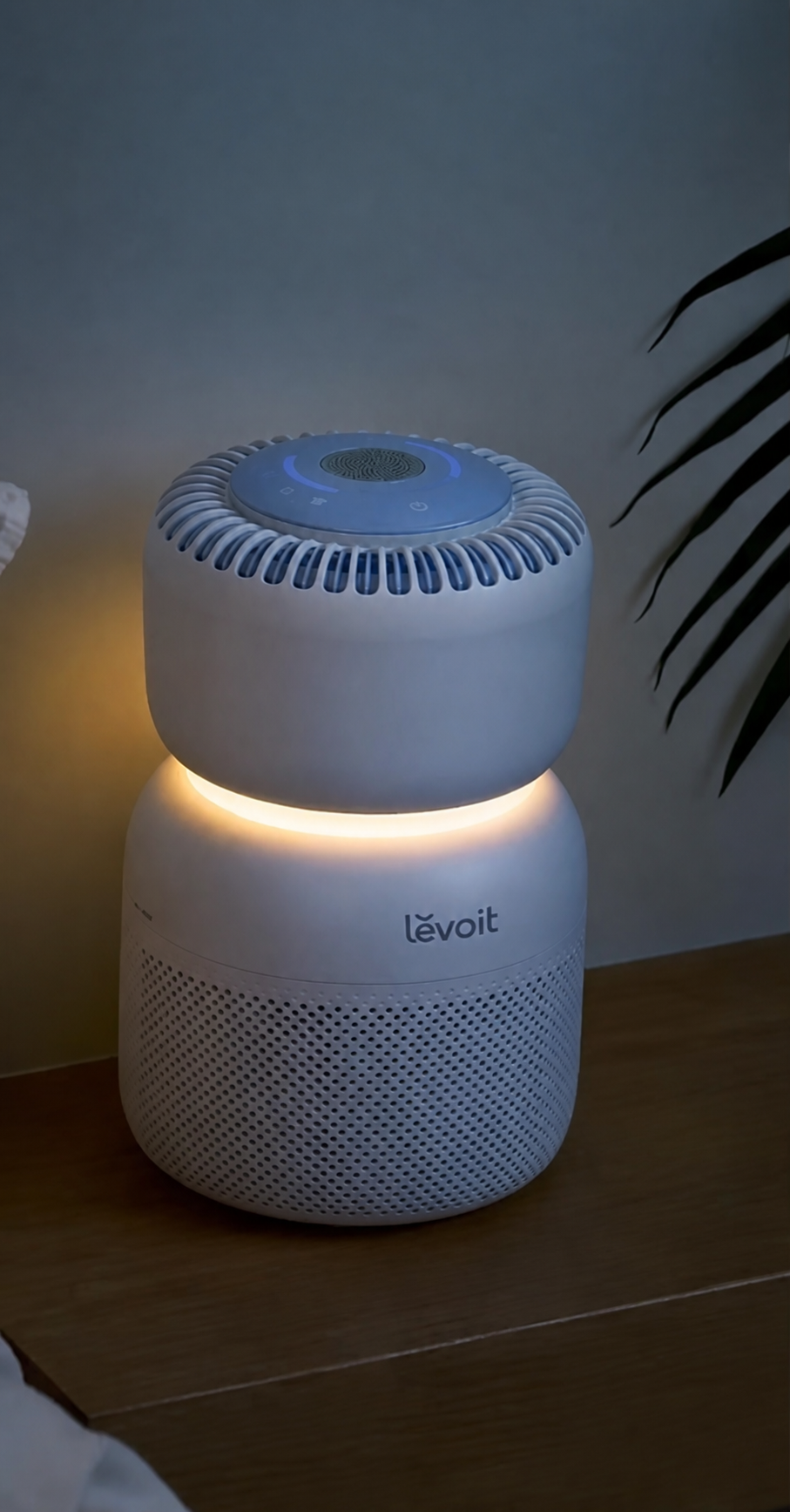 Bring Clean Air Home