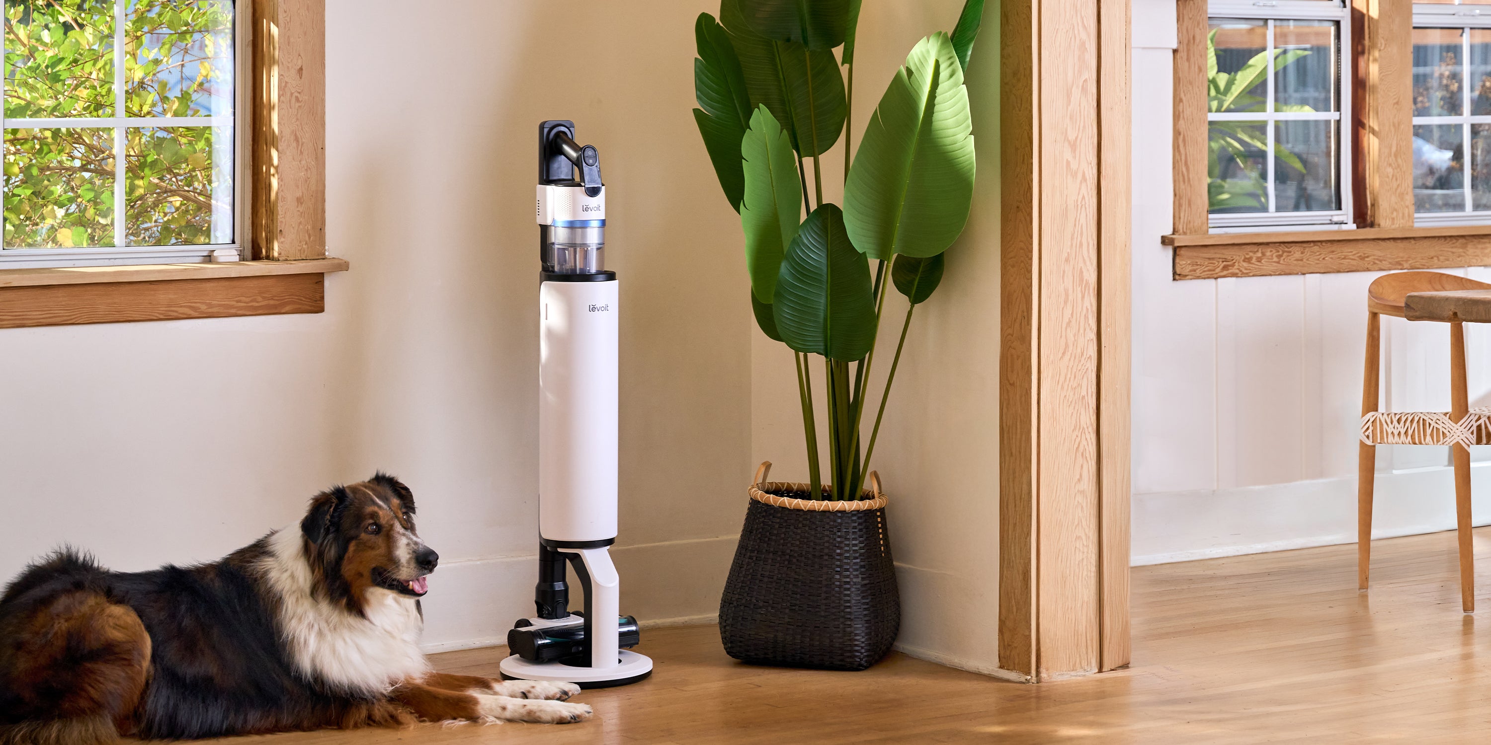 Levoit LV600S Hybrid Ultrasonic Humidifier