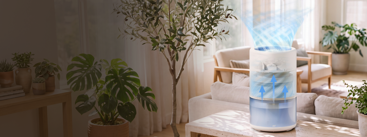 The Natural Way to Humidify Your Air