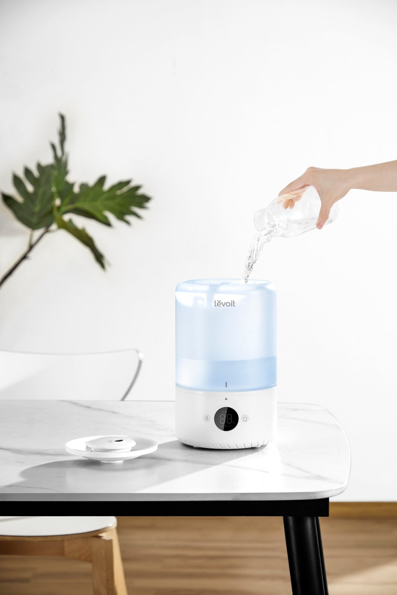 Refilling Levoit Dual 200S Blue Smart Top-Fill Humidifier by pouring water directly into the top tank
