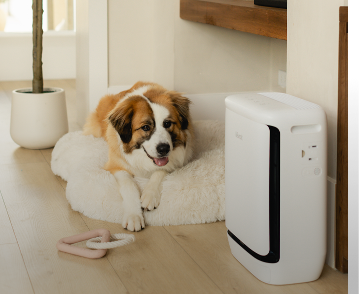 Levoit vital pet pro air purifier for dog people