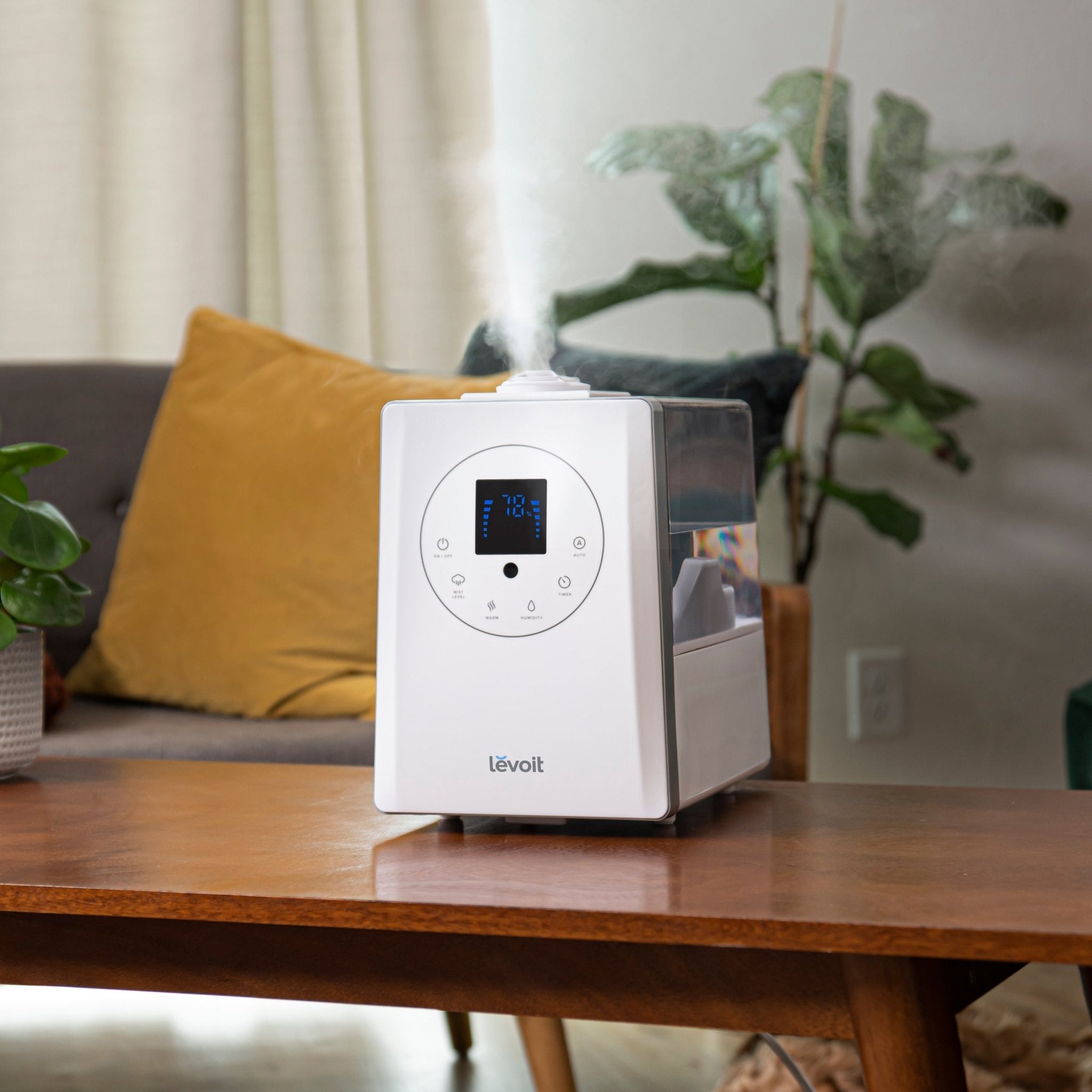 LV600HH Hybrid Ultrasonic Humidifier - Levoit
