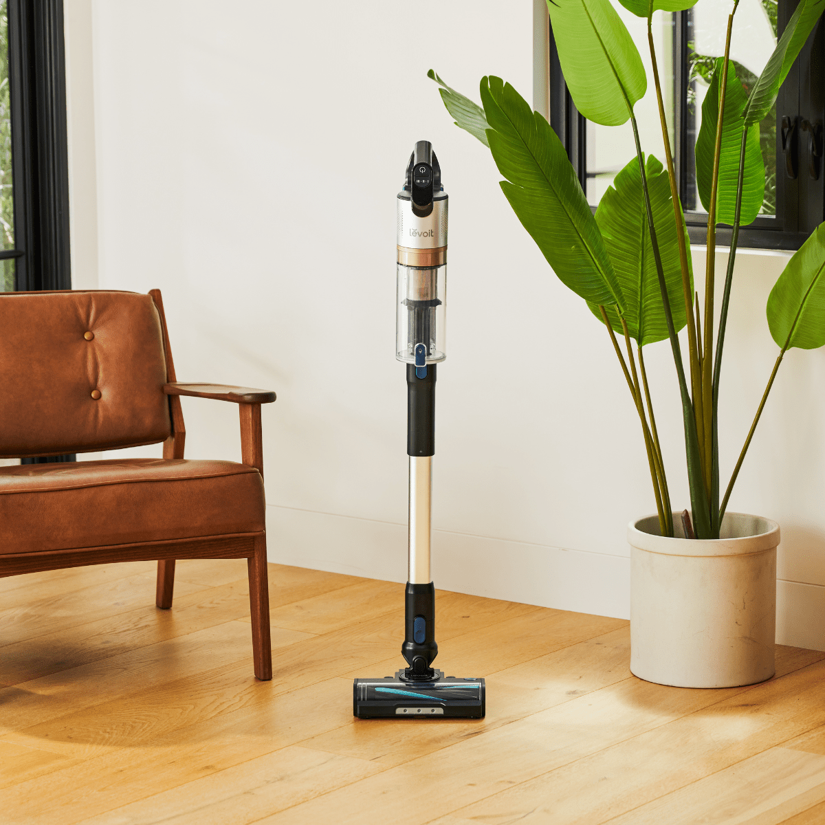 Levoit LVAC-300 Cordless Stick Vacuum self-standing on hardwood floor. Lightweight home vacuum.
