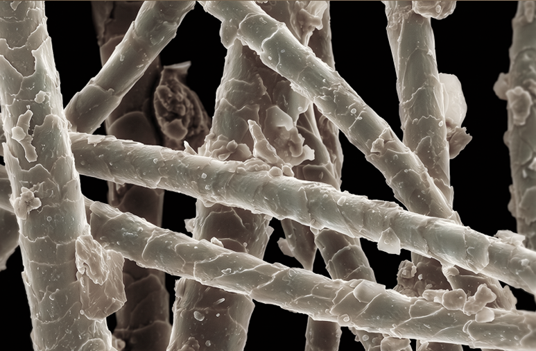 Pet Allergens