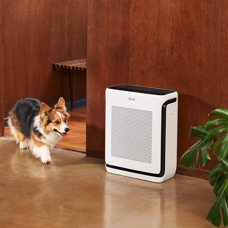 Vital 200S Smart True HEPA Air Purifier - Levoit