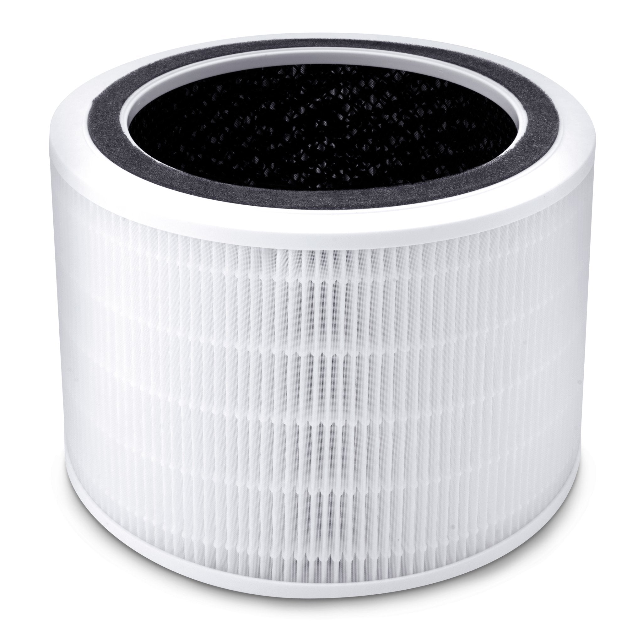 How to Dispose of Air Purifier Filter Levoit: Expert Tips