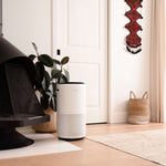 PlasmaPro® 400S Smart Air Purifier - Levoit