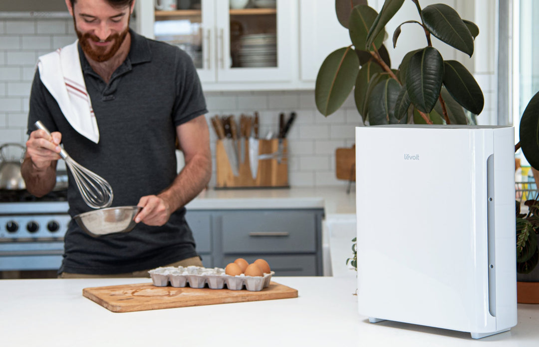 Vital 100 True HEPA Air Purifier - Levoit