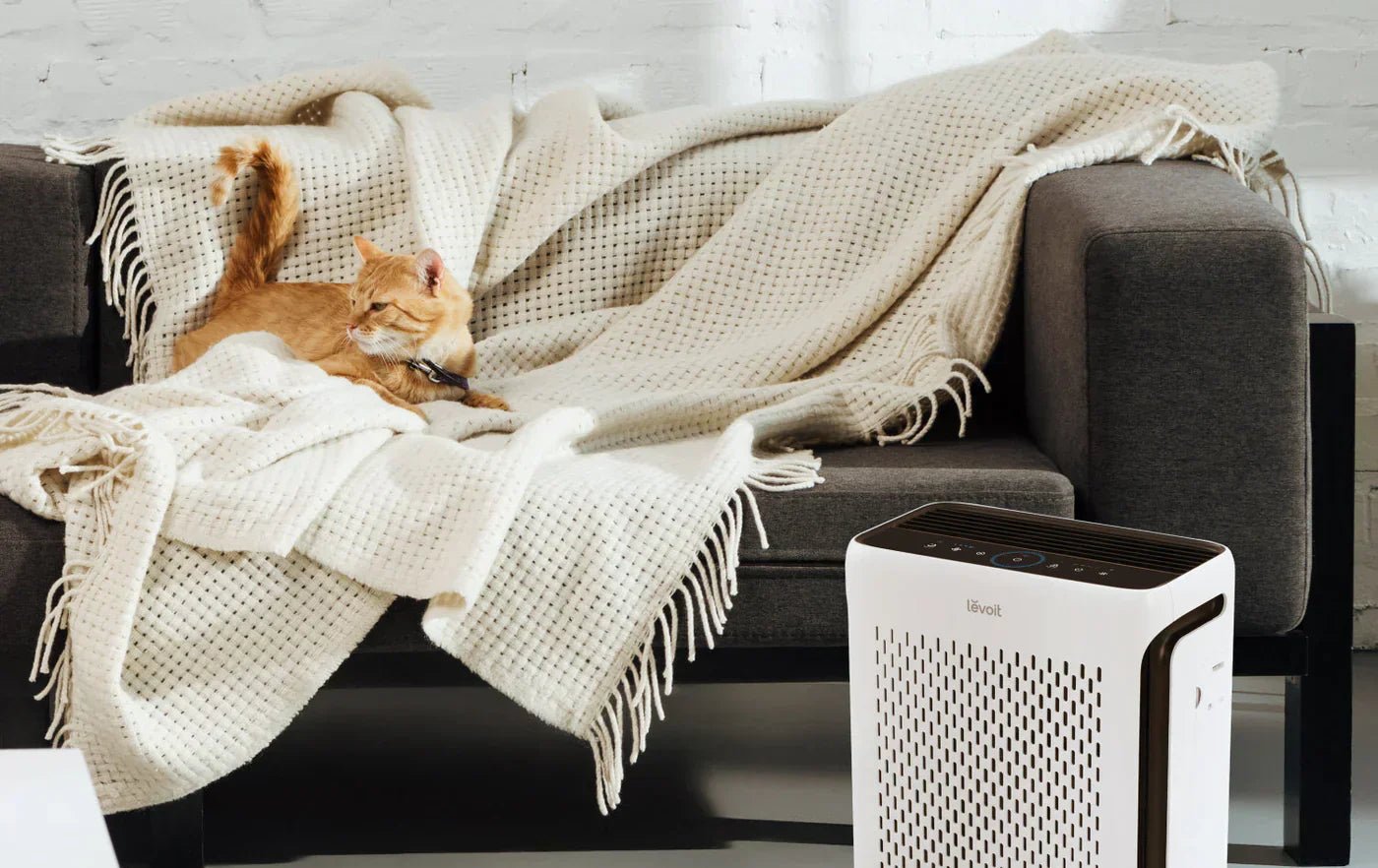 5 Reasons Pet Owners Should Consider an Air Purifier - Levoit