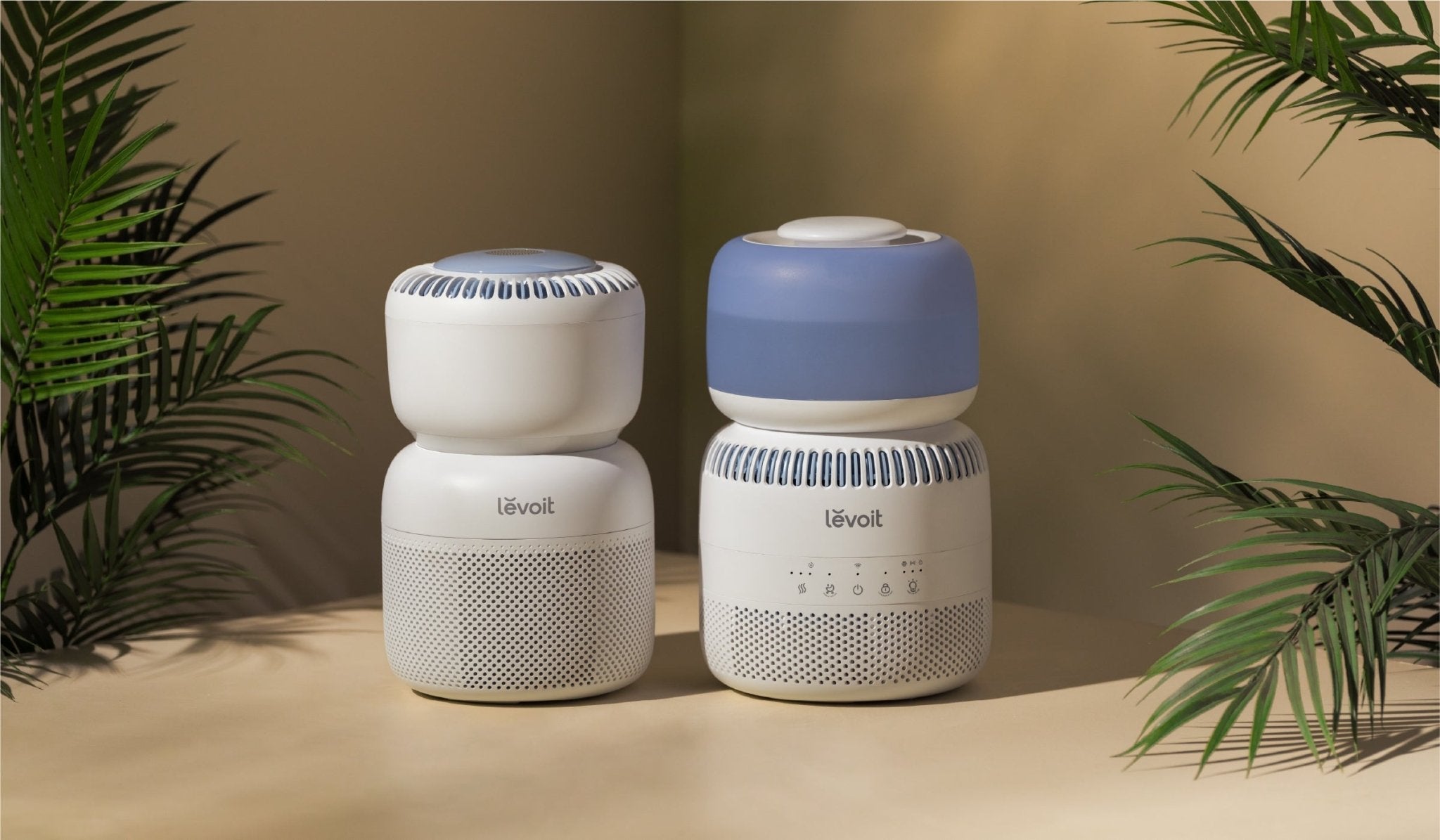 Air Purifier vs. Humidifier: What's the Difference and Which One Do You Really Need? - Levoit
