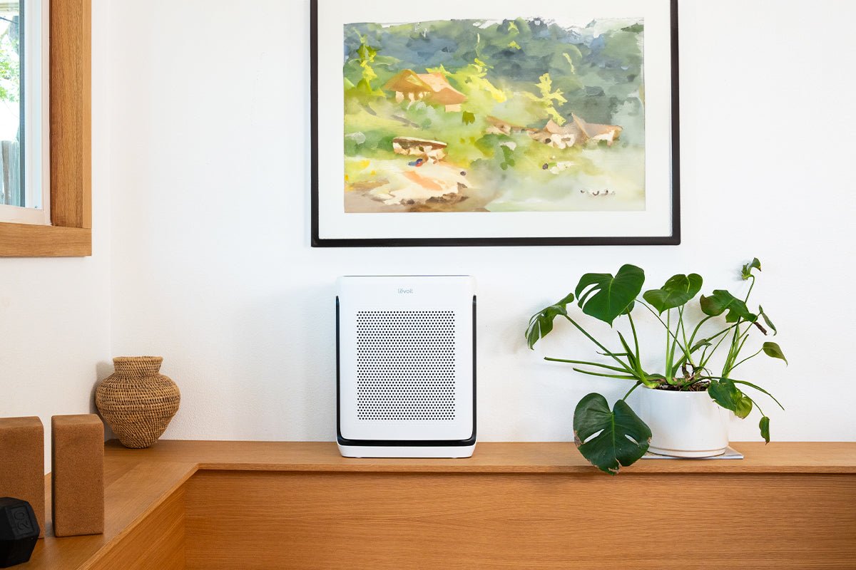 Air Purifiers vs HVAC Filters: Do You Really Need Both? - Levoit