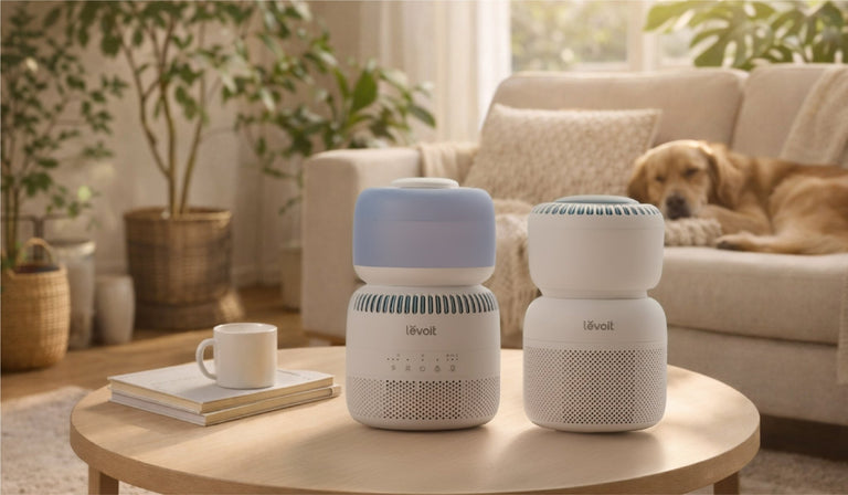 Air Quality: Air Purifiers vs. Humidifiers - Levoit