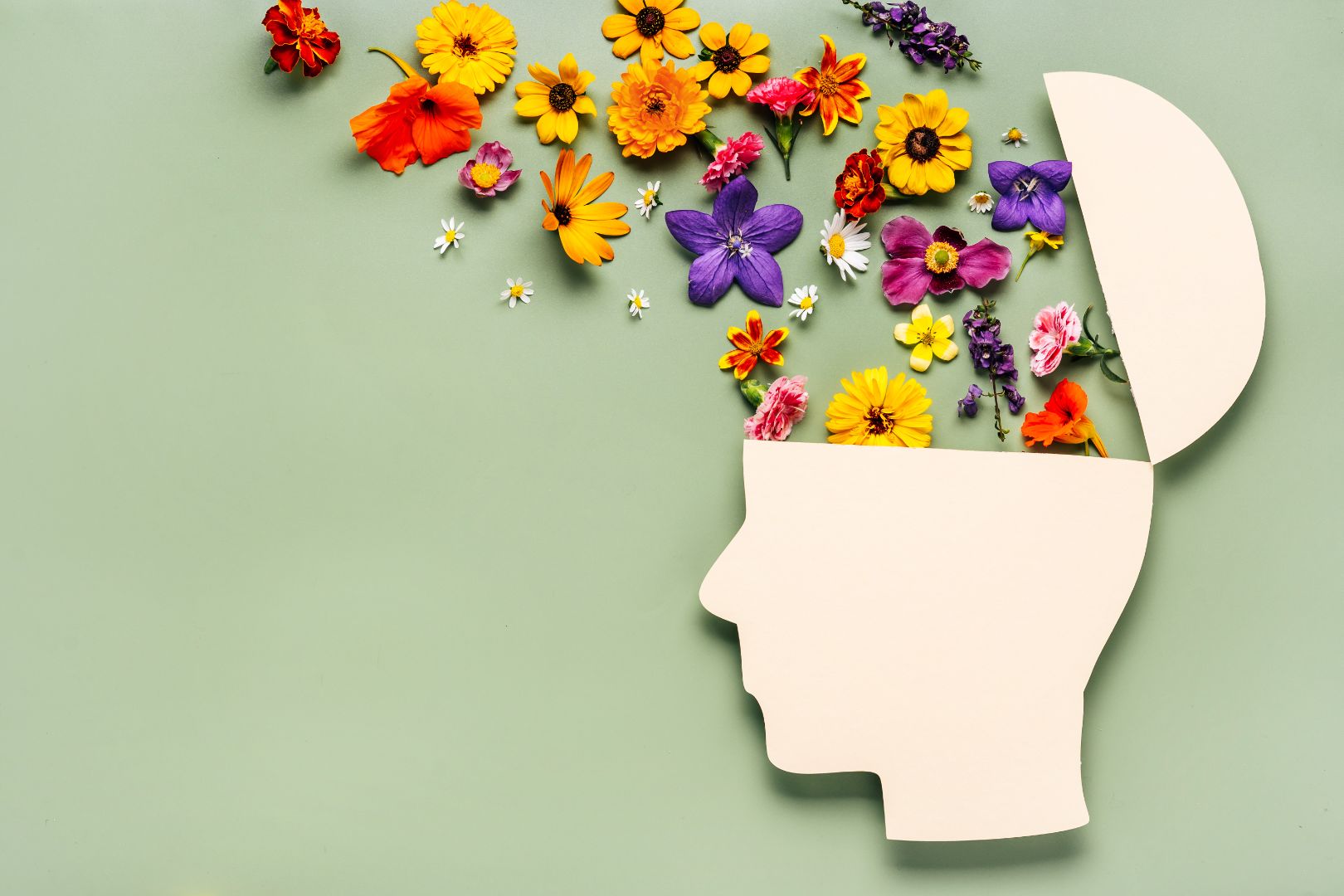 Air Quality and Mental Health - Levoit