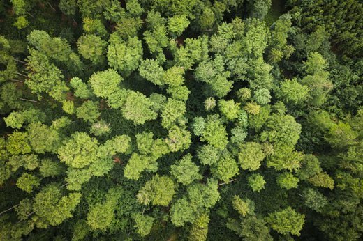 Air Quality & Climate Change - Levoit