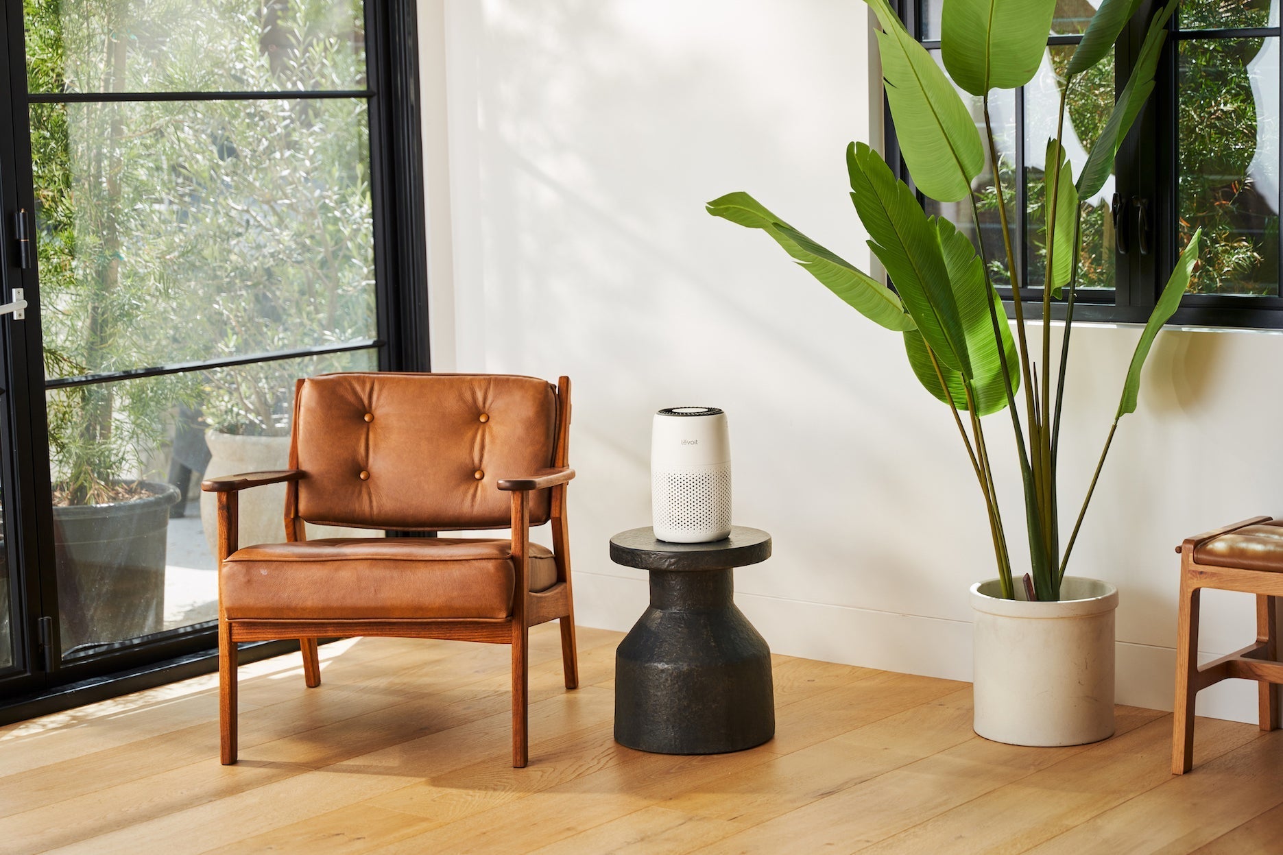 Air Wellness: The Next Big Trend in Home Design - Levoit