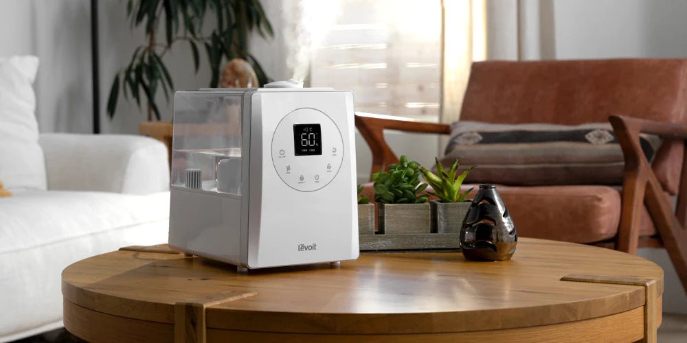 Benefits of Owning a Humidifier - Levoit