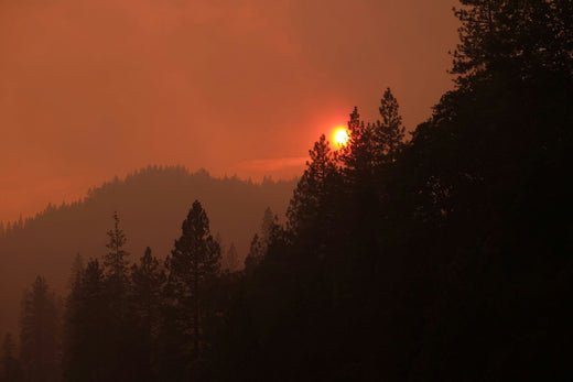 California’s Park Fire and Its Impact on Air Quality Nationwide - Levoit