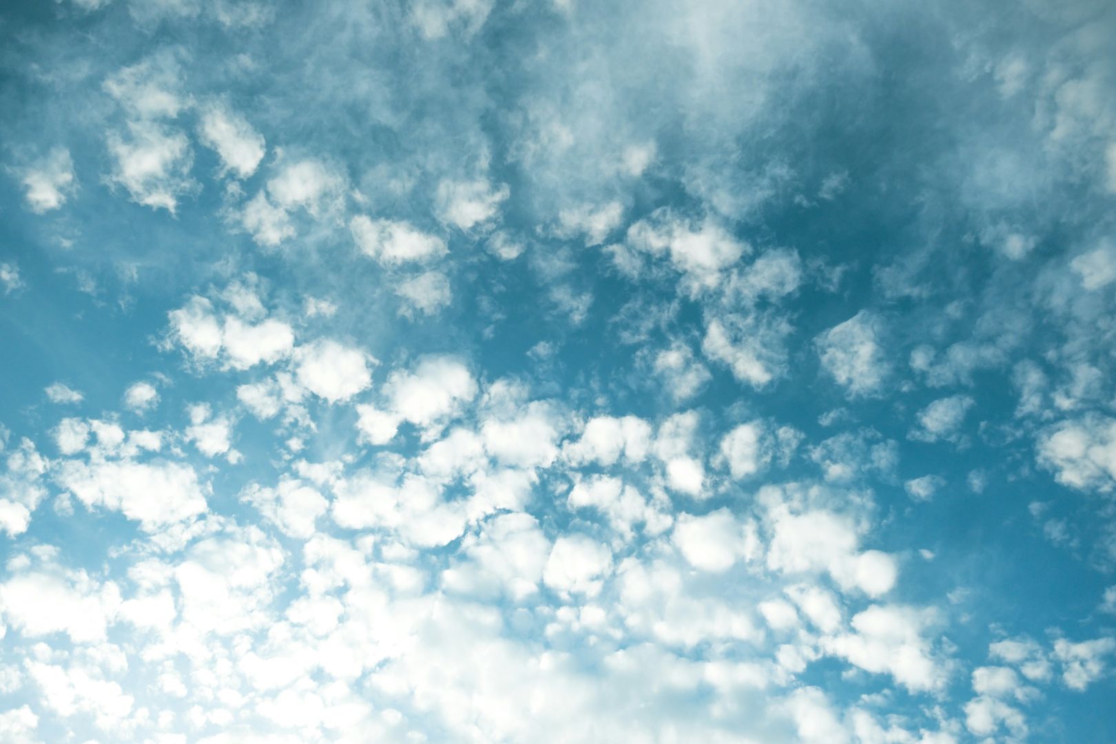 Clean Air Month: What Do You Need to Know? - Levoit