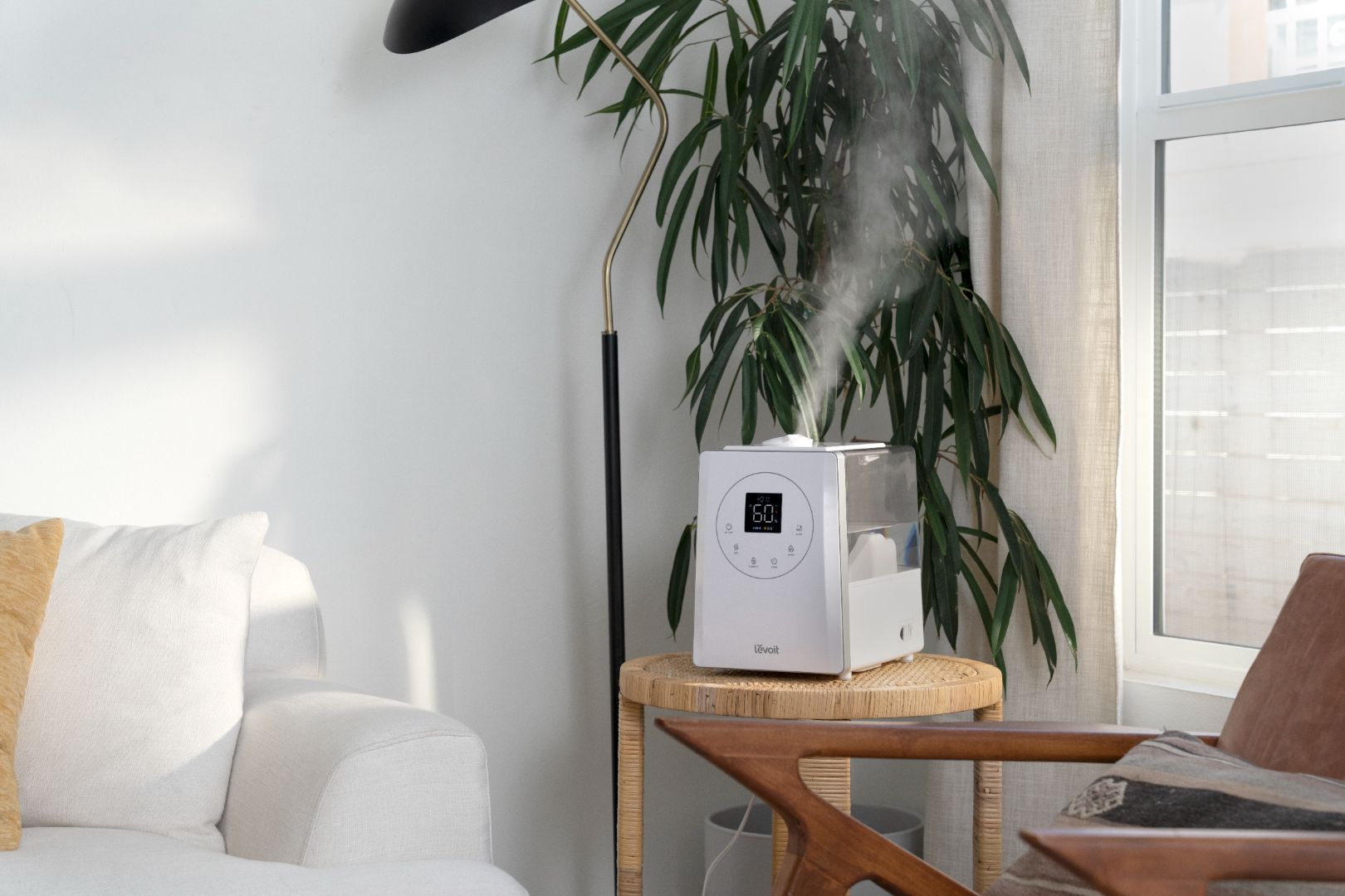 Cool Mist vs. Warm Mist Humidifiers: Making the Right Choice - Levoit
