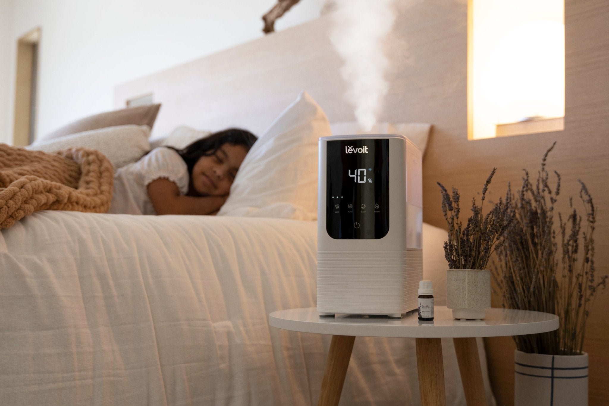 Debunking 7 Humidifier Myths - Levoit