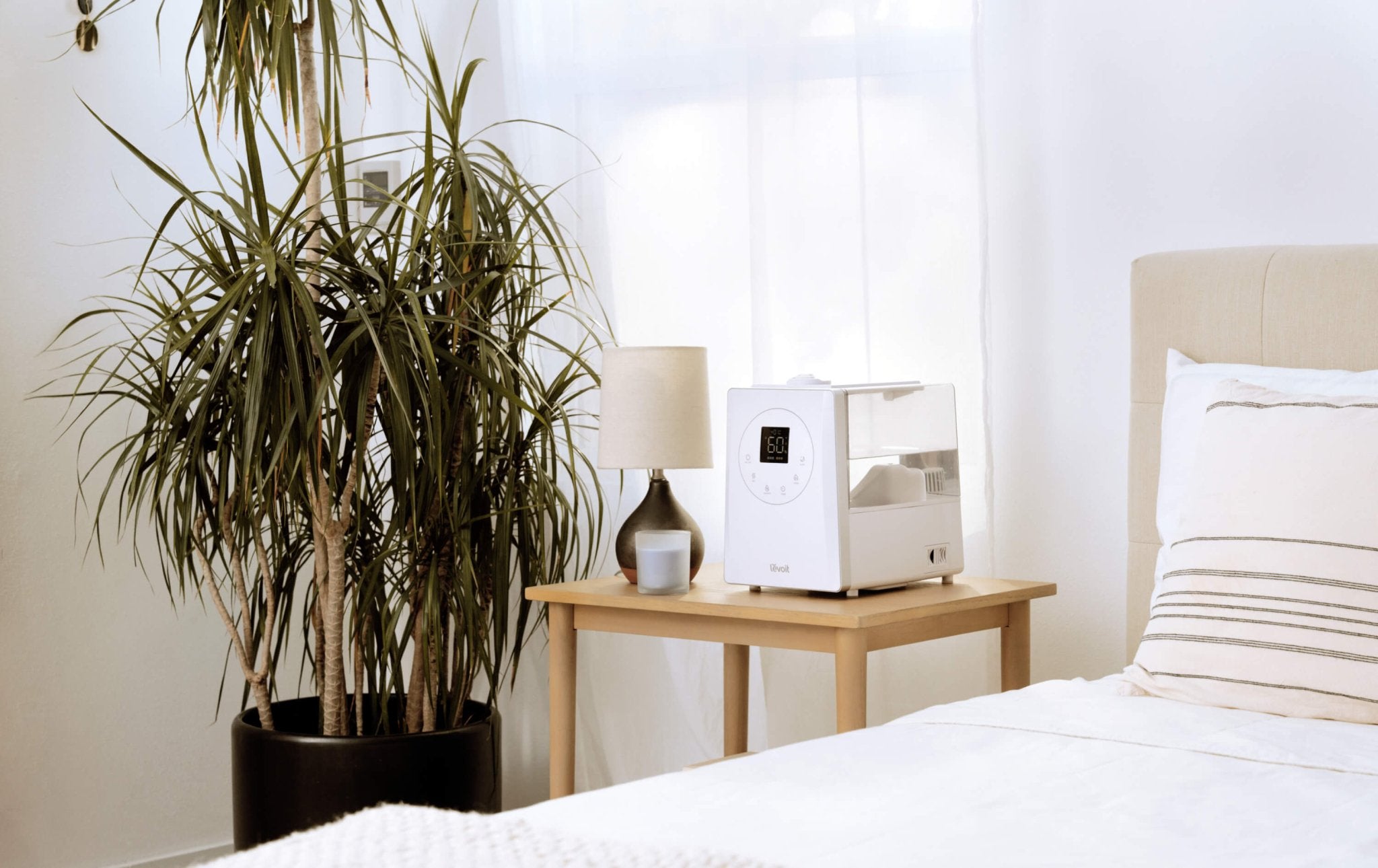 Evaporative Humidifiers: Key Benefits & How to Choose - Levoit