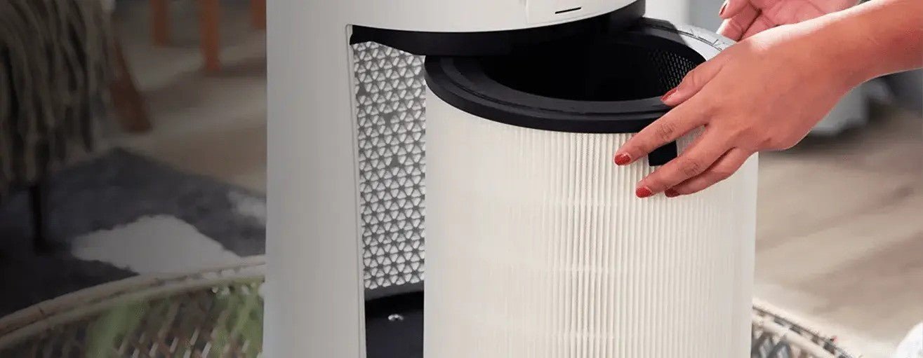 Fresh Air Ahead: Selecting the Best Air Purifier Filter - Levoit