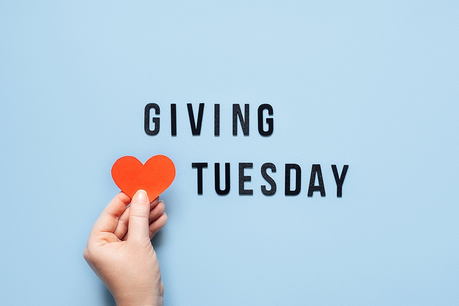Giving Tuesday: A Chance to Make a Difference - Levoit