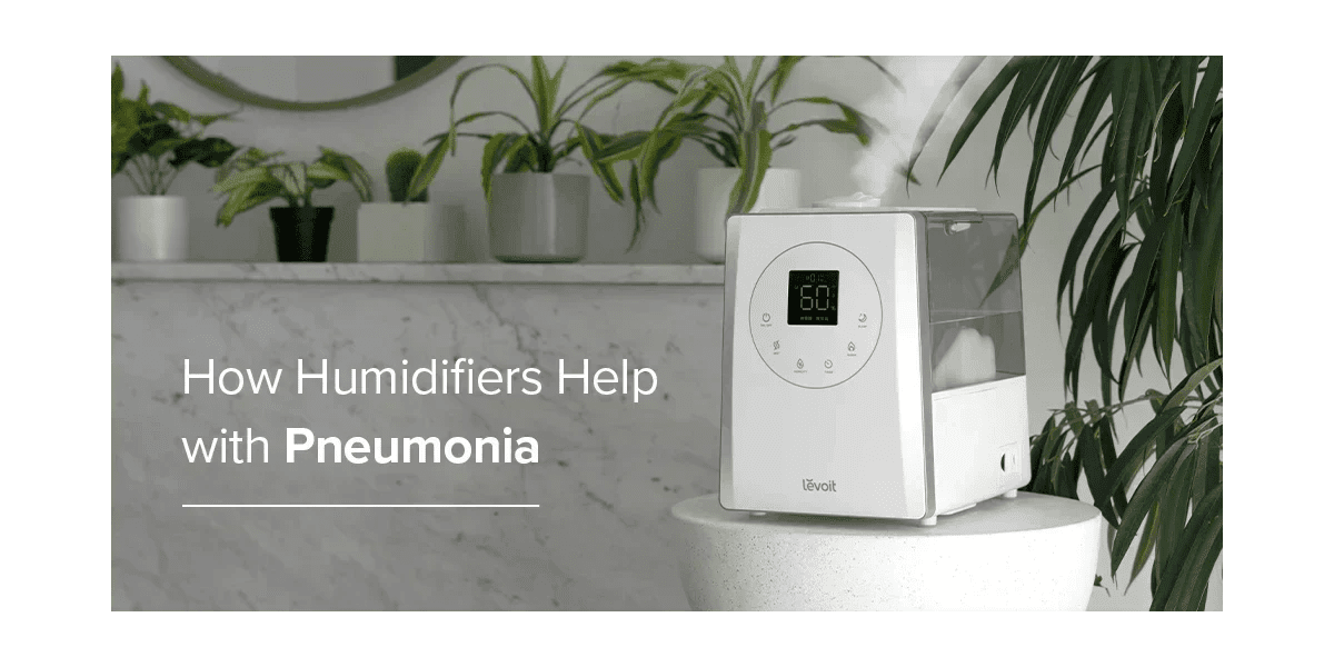 How Humidifiers Help with Pneumonia - Levoit