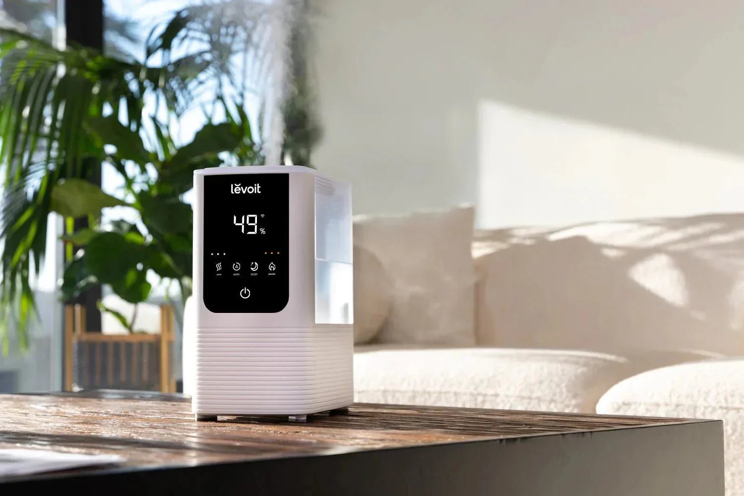 How Many Humidifiers Do You Need? - Levoit