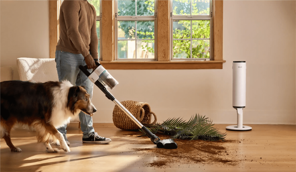 How to Choose the Best Vacuum Cleaner - Levoit