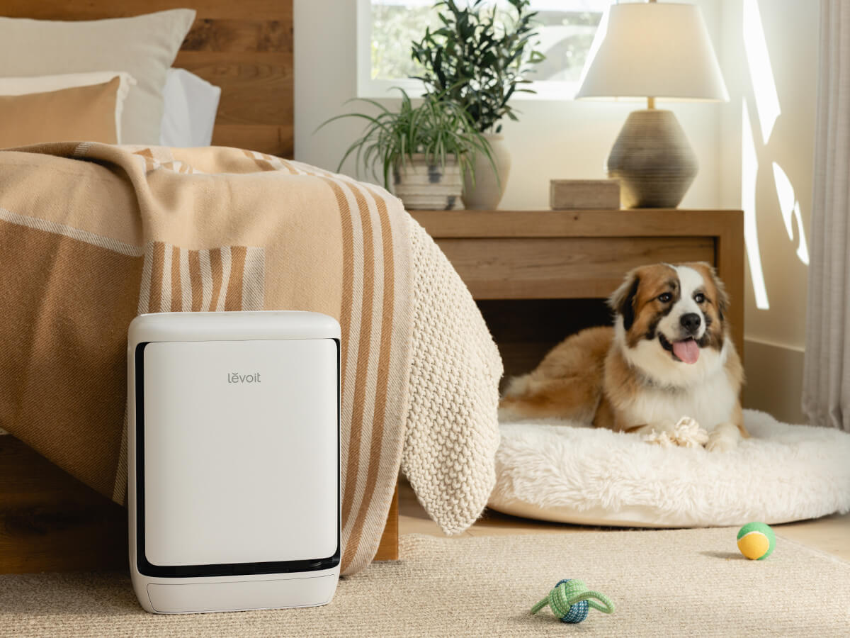 How to Remove Pet Odor From Your Home - Levoit