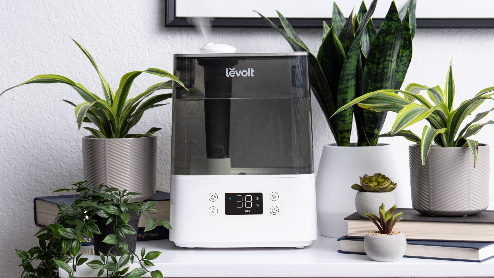 How Ultrasonic Humidifiers Help You & Your Plants Thrive - Levoit