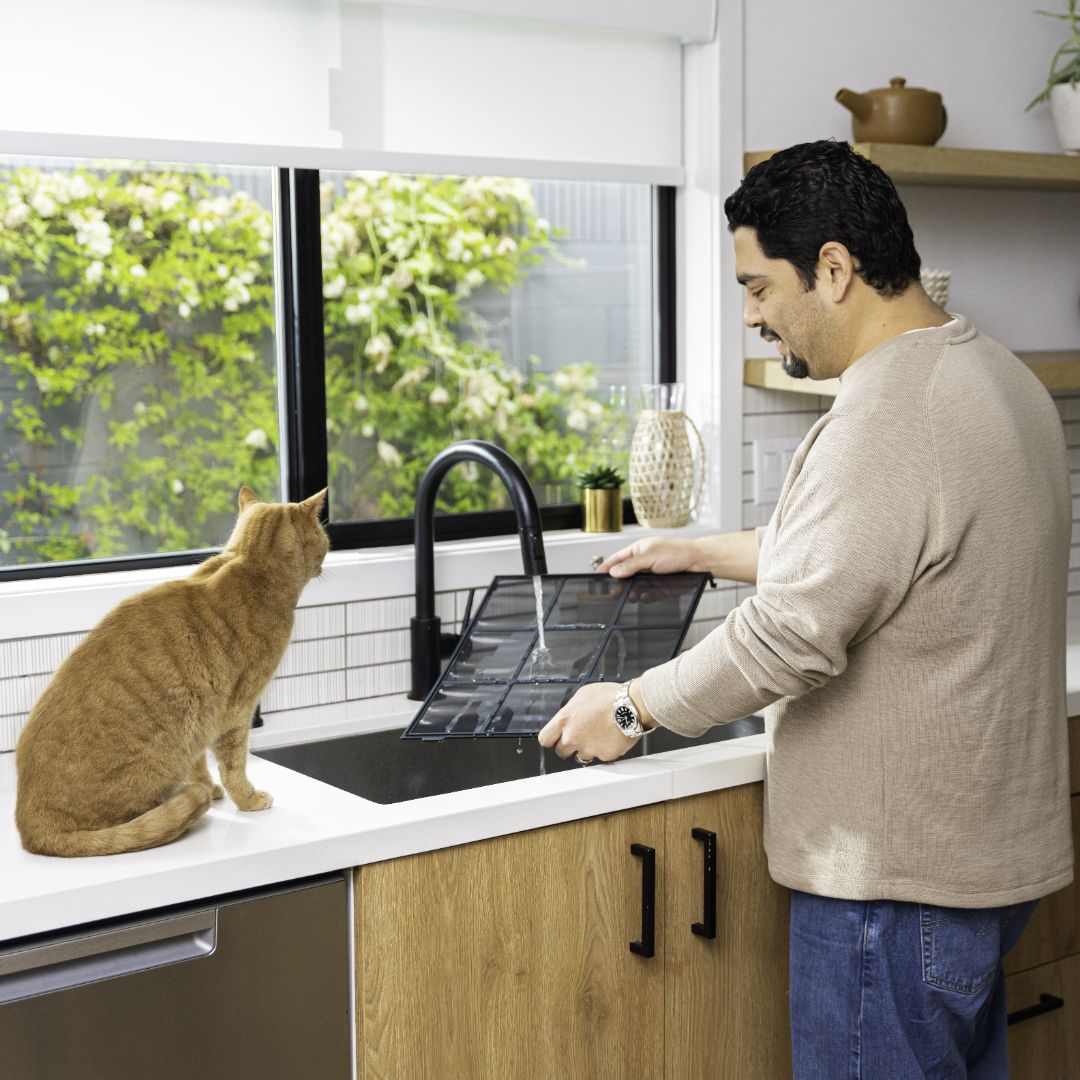 Optimizing Your Indoor Air: Air Purifier Maintenance - Levoit