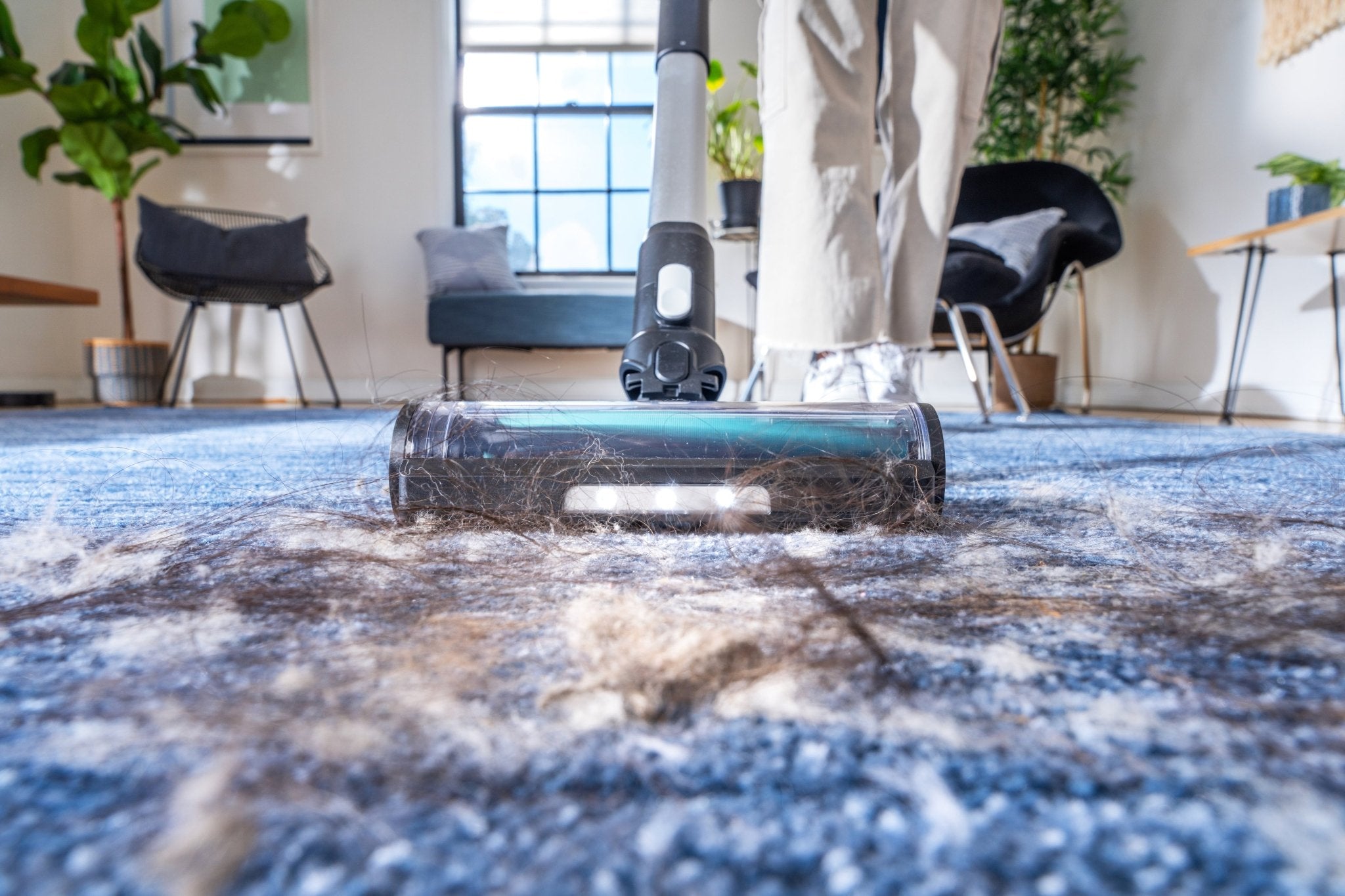 How to Keep Dust Under Control in Your Home - Levoit