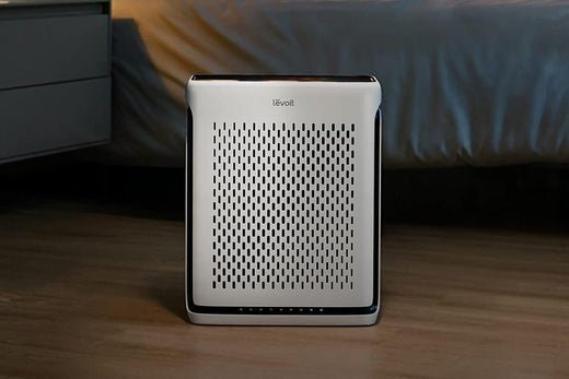 Everything You Need to Know About Air Purifiers - Levoit