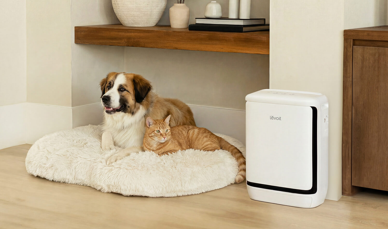 Levoit Vital Pet Pro HEPA air purifier