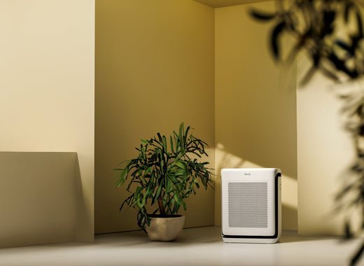 The Science Behind Air Purifier Filters - Levoit