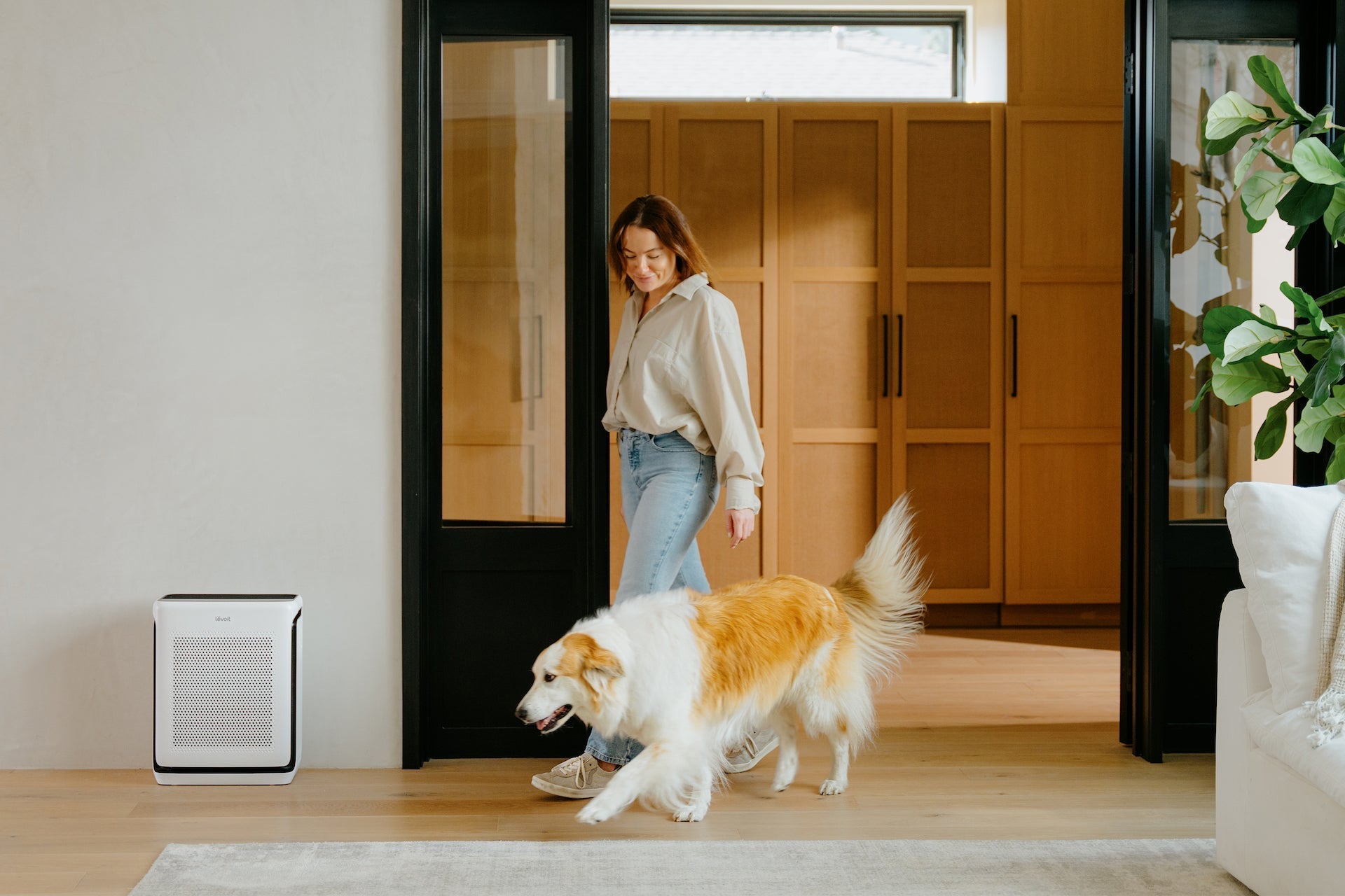 Indoor Air Quality Matters: How to Breathe Easy This Air Quality Awareness Week - Levoit