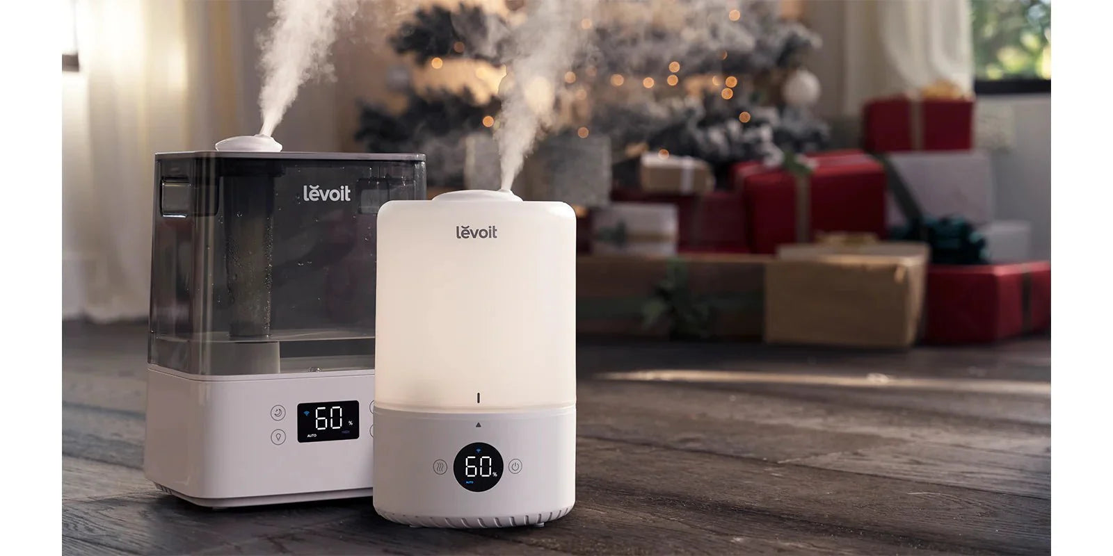 Keep Your Winter Symptoms to a Minimum - Levoit
