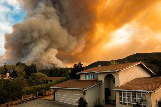 Know the Dangers of Wildfire Smoke - Levoit