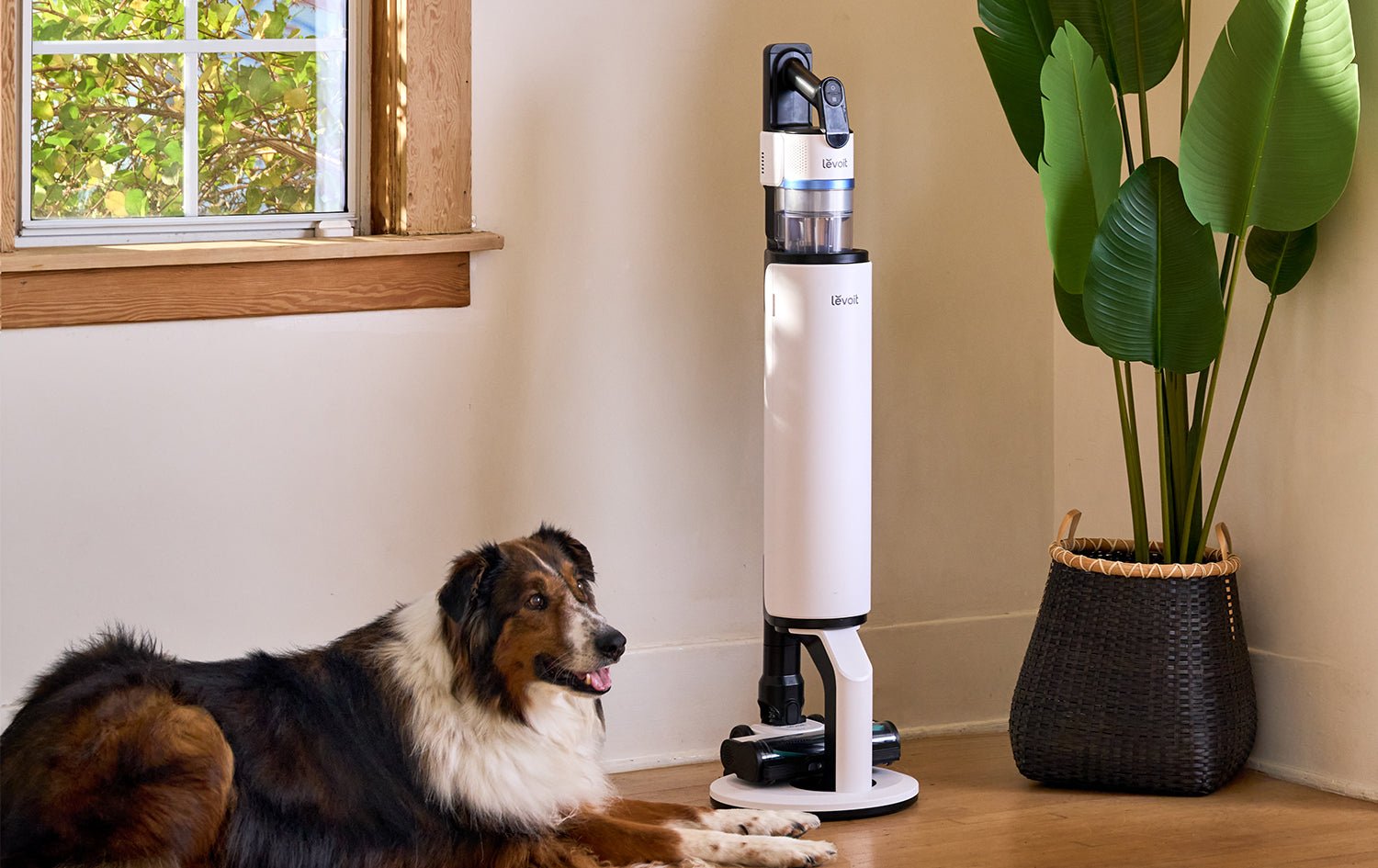 New Year’s Guide 2026: The Best Levoit Cordless Vacuum for Pet Hair and Dander - Levoit
