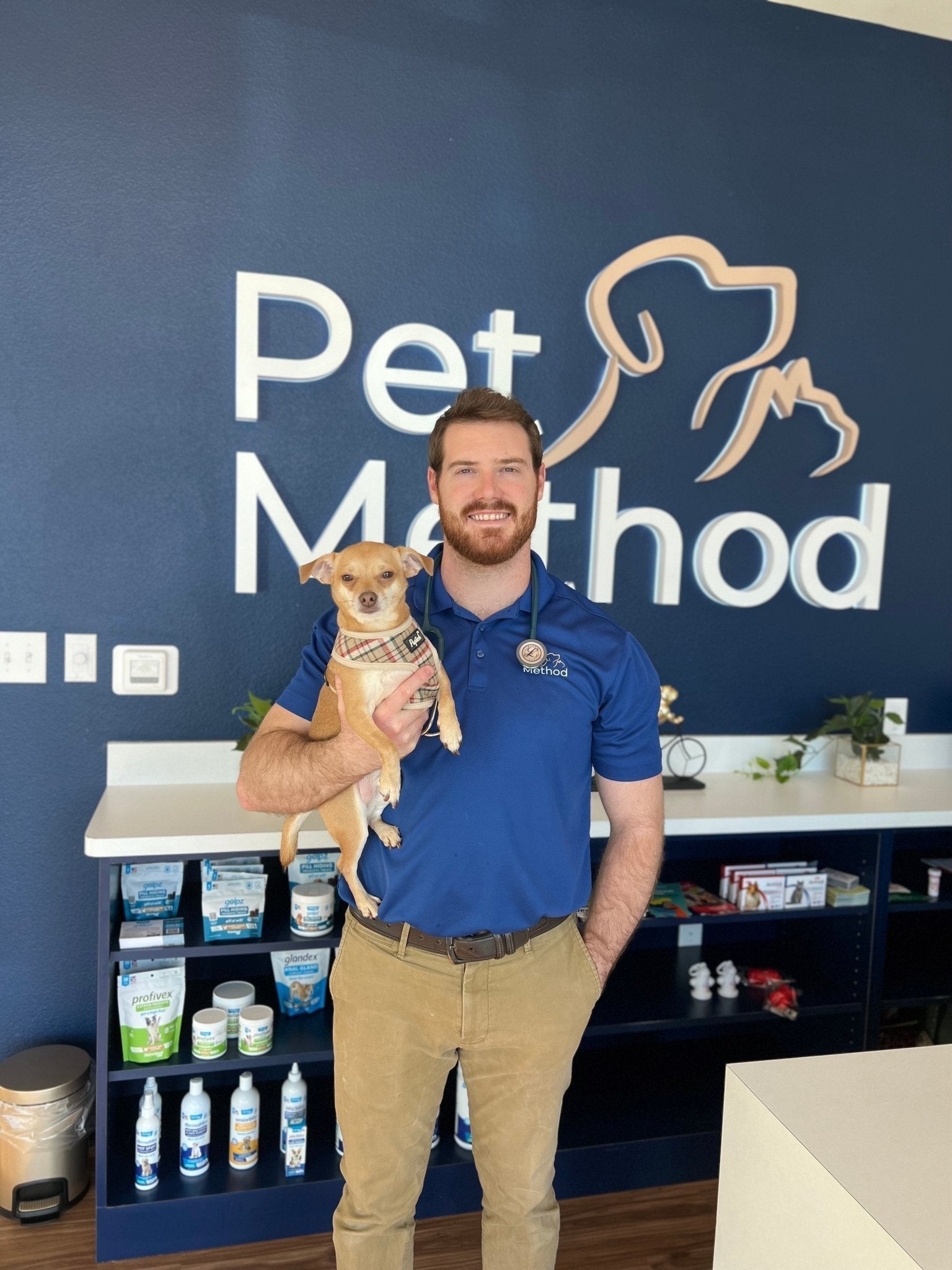 The 411 on Hypoallergenic Pets - Levoit