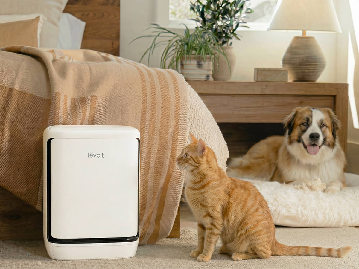 The Best Air Purifiers for Pets From Levoit® in 2026 - Levoit