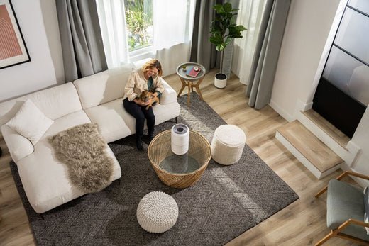 The Importance of Purified Air in Your Home - Levoit