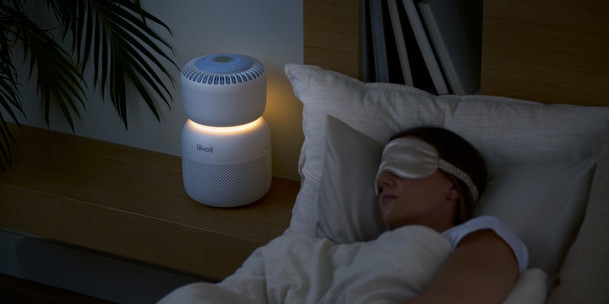 The Science of Sleep: Why Quality Rest Matters - Levoit